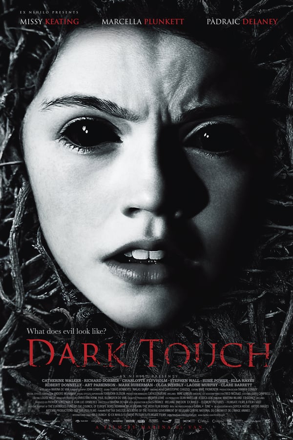 Cover of the movie Dark Touch