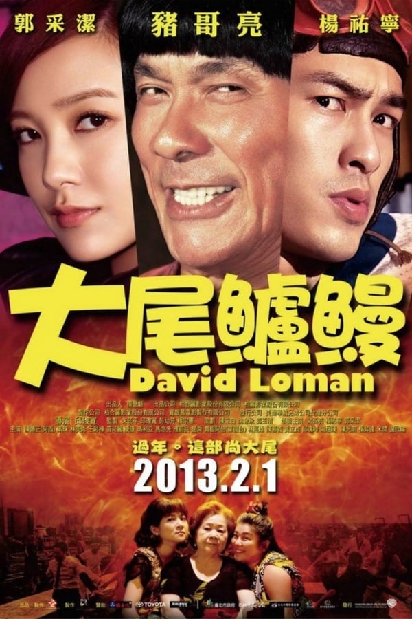 Cover of the movie David Loman