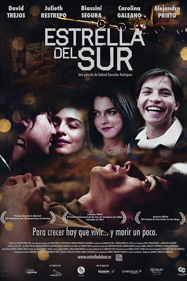 Cover of the movie Estrella del Sur