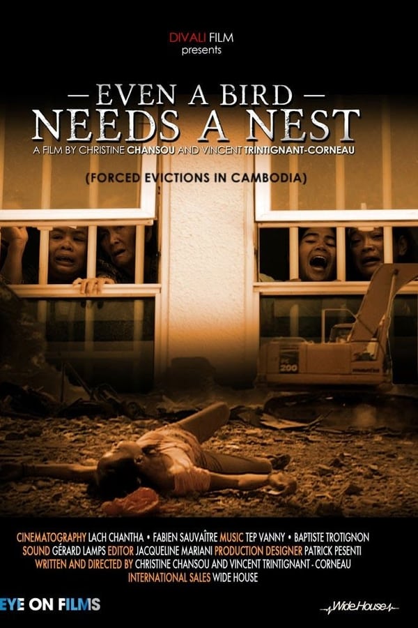 Cover of the movie Even a Bird Needs a Nest