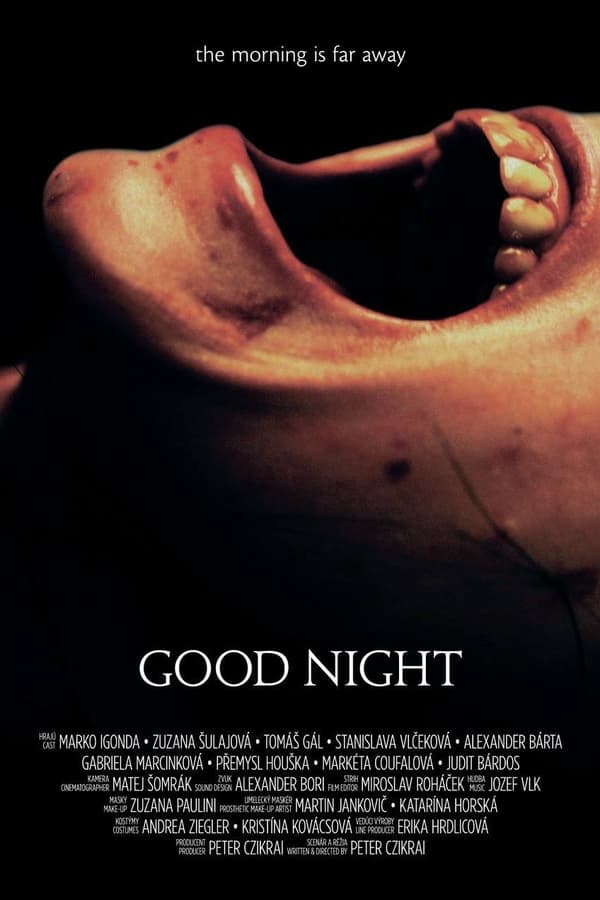 Cover of the movie Good Night