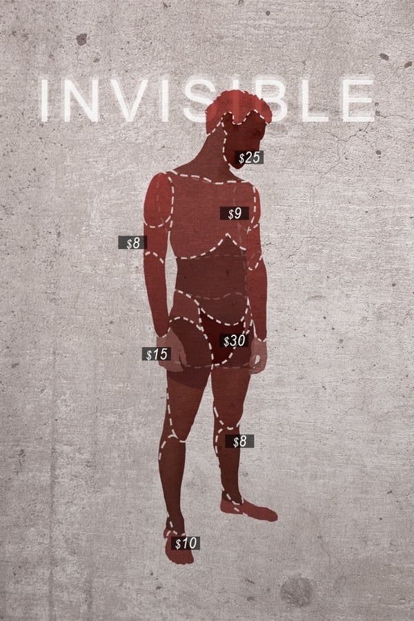 Cover of the movie Invisible