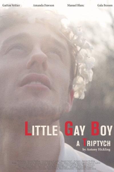 Cover of the movie Little Gay Boy