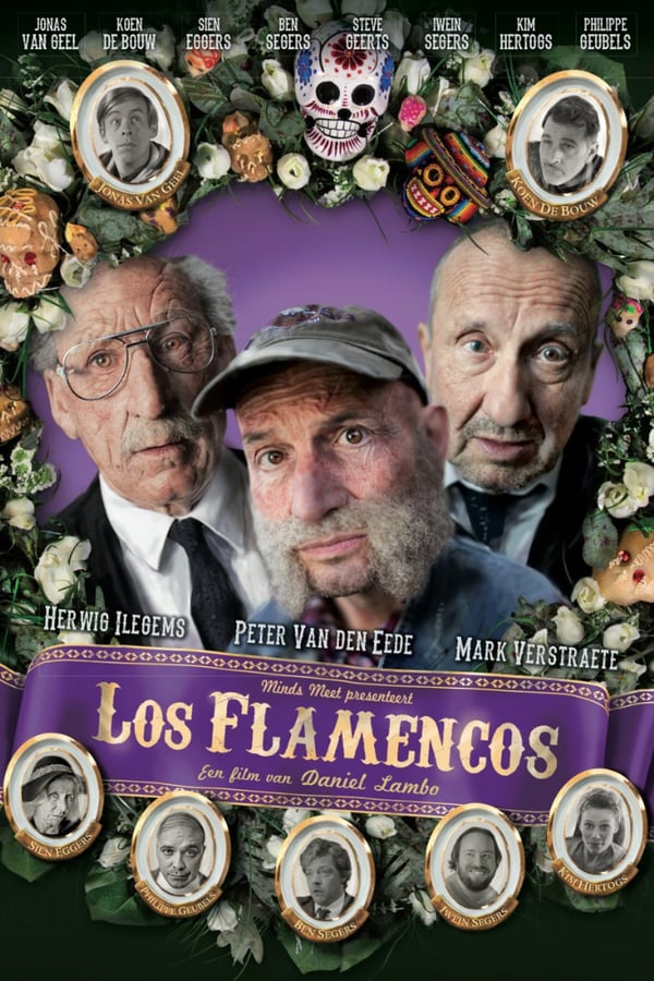 Cover of the movie Los Flamencos