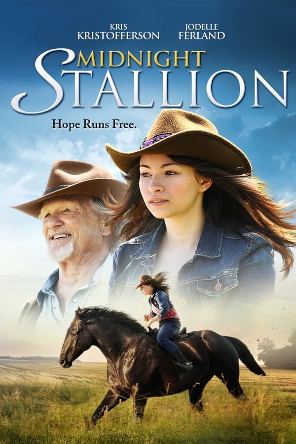 Cover of the movie Midnight Stallion