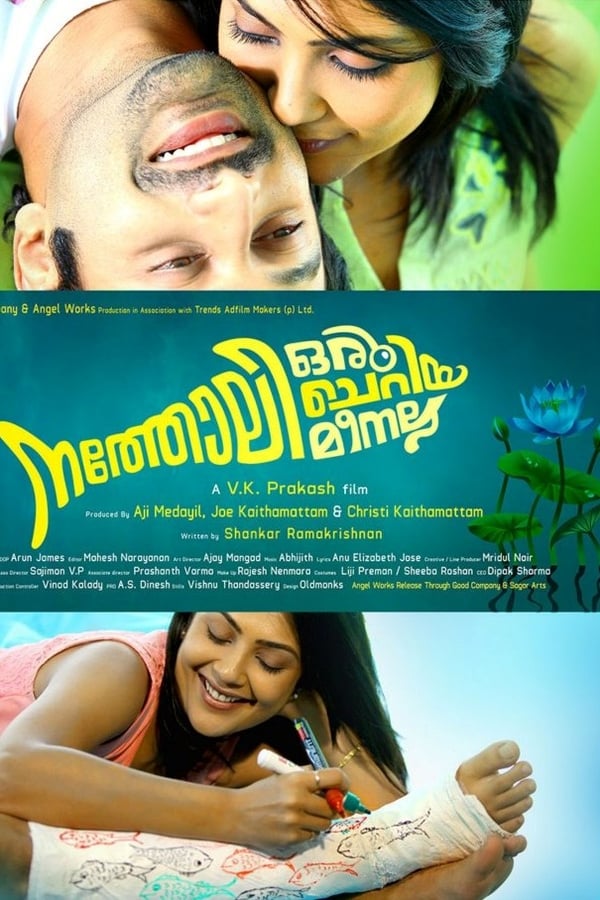 Cover of the movie Natholi Oru Cheriya Meenalla