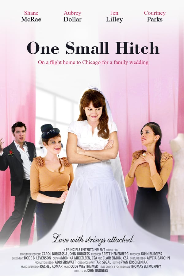 Cover of the movie One Small Hitch