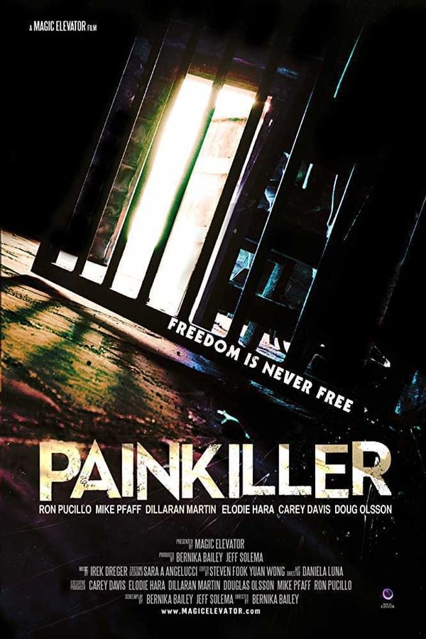 Cover of the movie Painkiller