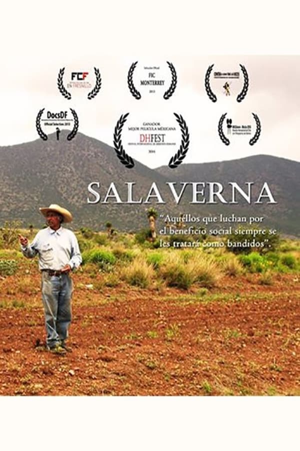 Cover of the movie Salaverna