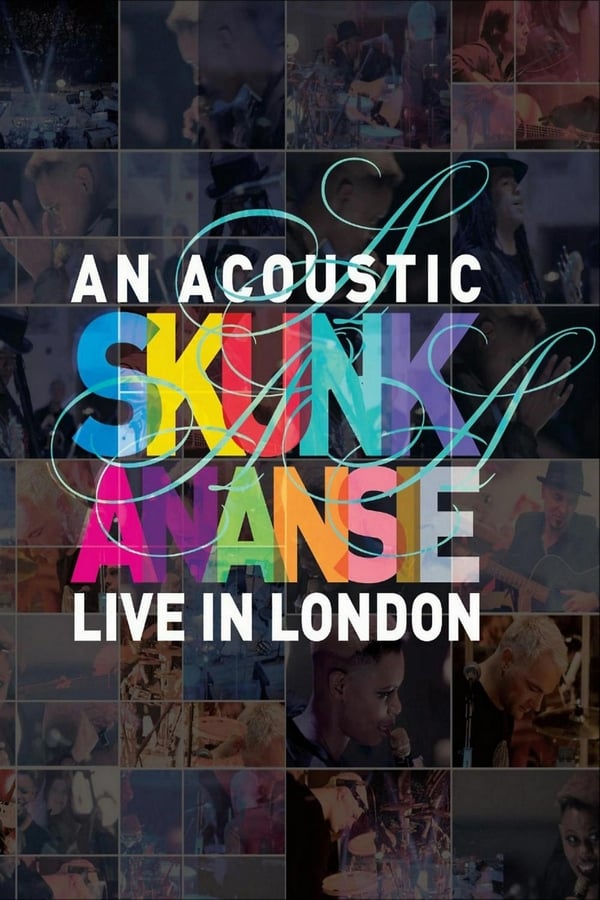 Cover of the movie Skunk Anansie - An Acoustic Skunk Anansie Live In London