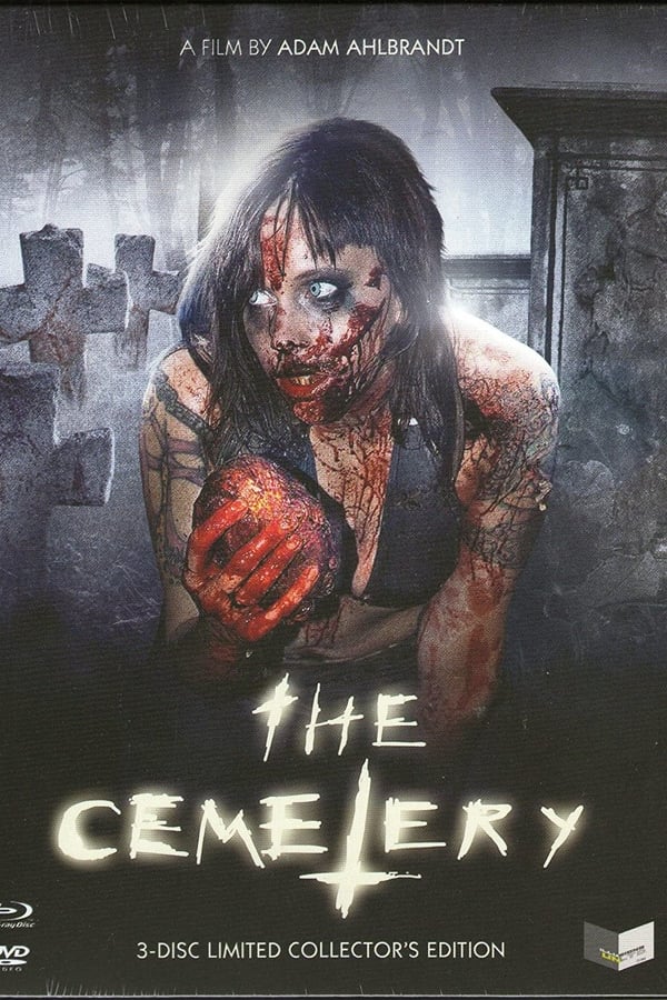 Cover of the movie The Cemetery