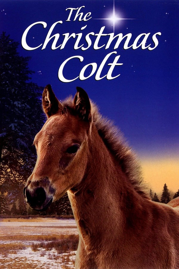 Cover of the movie The Christmas Colt