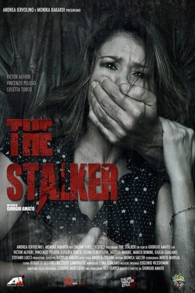 Cover of the movie The Stalker