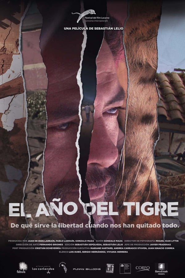 Cover of the movie The Year of the Tiger