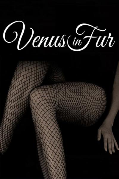 Cover of the movie Venus in Fur