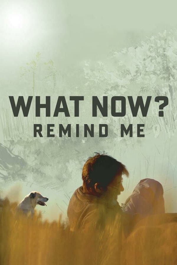 Cover of the movie What Now? Remind Me