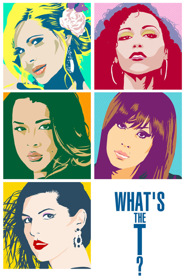 Cover of the movie What's the T?