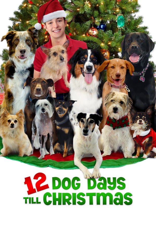 Cover of the movie 12 Dog Days Till Christmas
