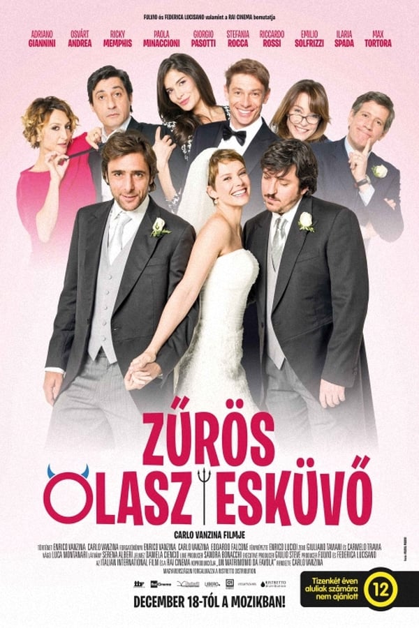 Cover of the movie A Fairy Tale Wedding