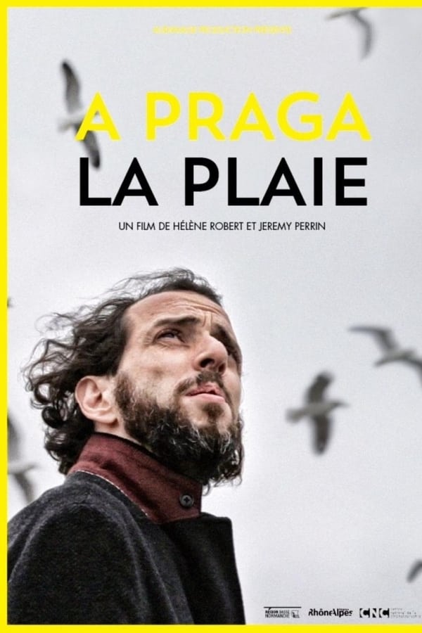 Cover of the movie A praga/La plaie