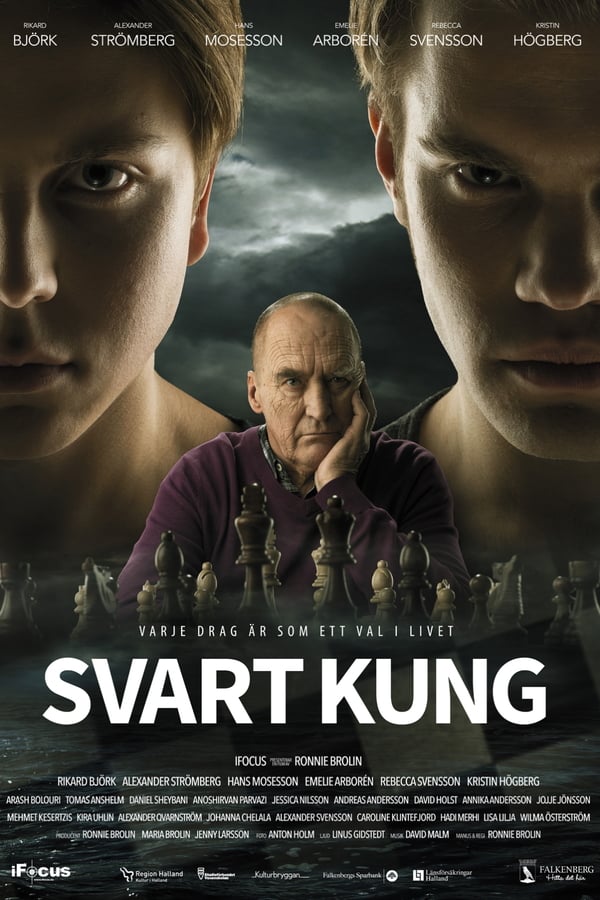 Cover of the movie Black King