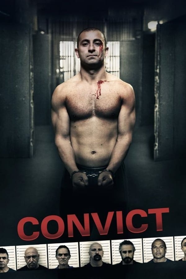 Cover of the movie Convict