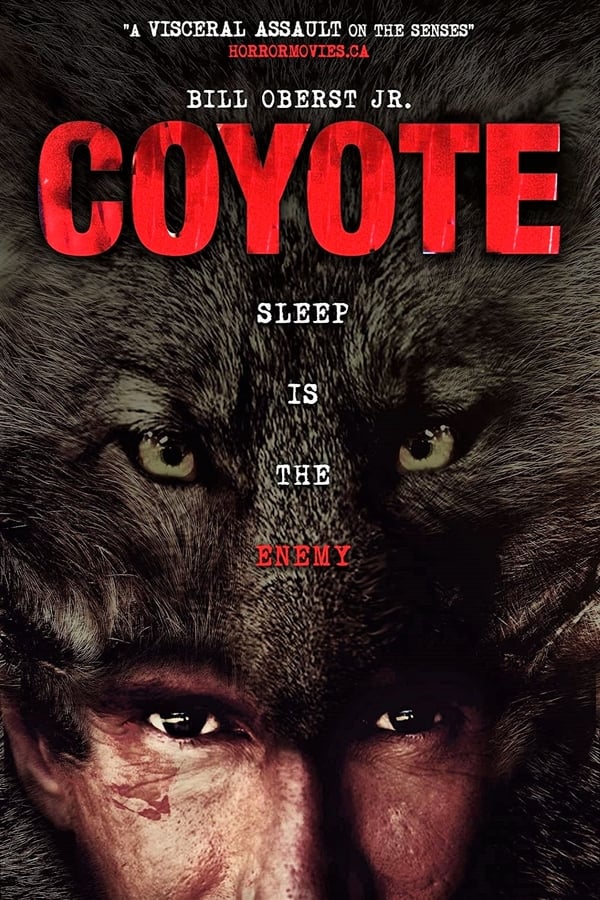 Cover of the movie Coyote