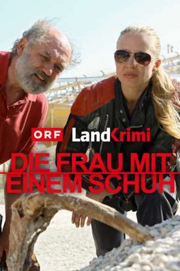 Cover of the movie Die Frau mit einem Schuh