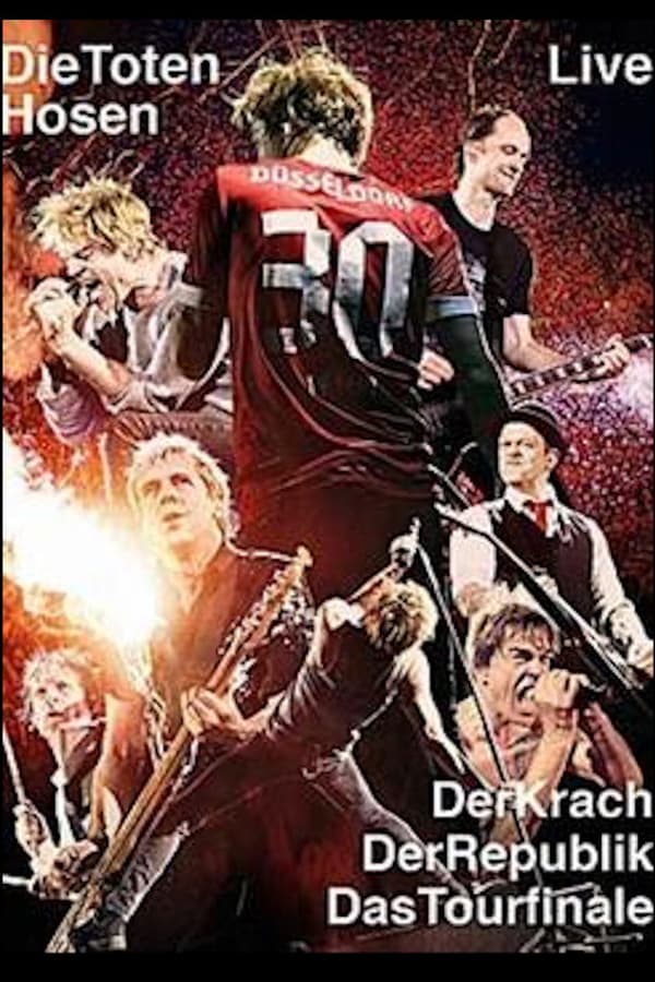 Cover of the movie Die Toten Hosen Live -  Der Krach der Republik - Das Tourfinale
