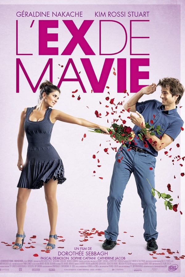 Cover of the movie Divorce French Style