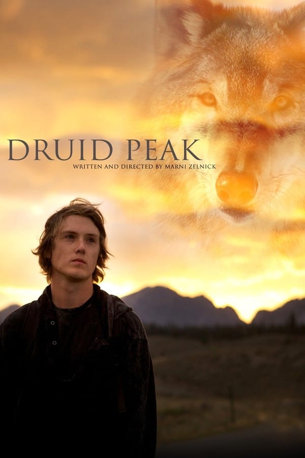 Cover of the movie Druid Peak