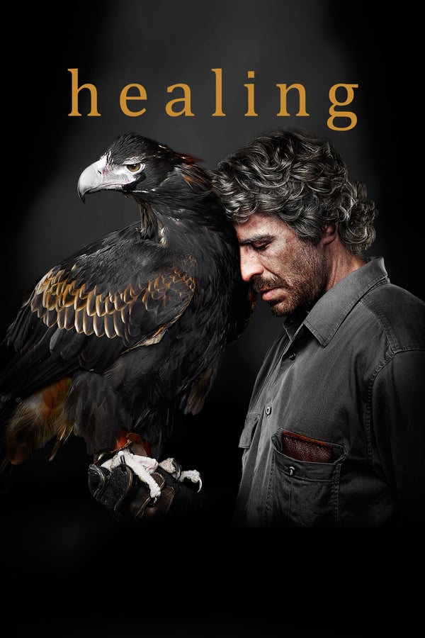 Cover of the movie Healing