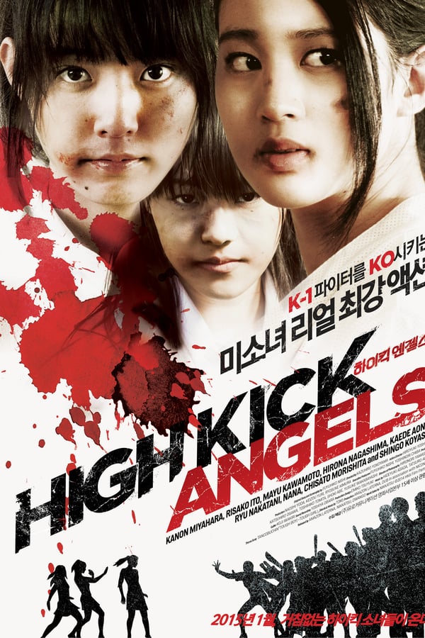 Cover of the movie High Kick Angels