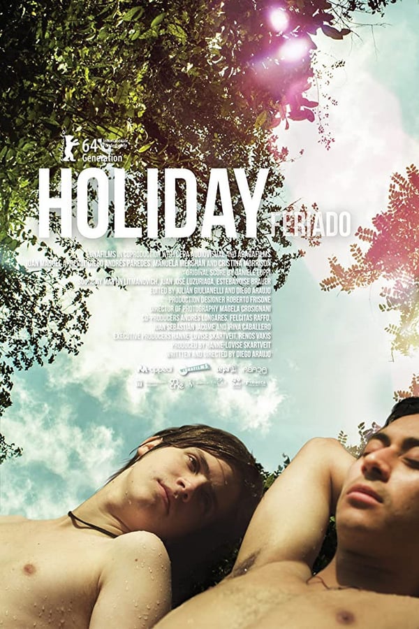 Cover of the movie Holiday