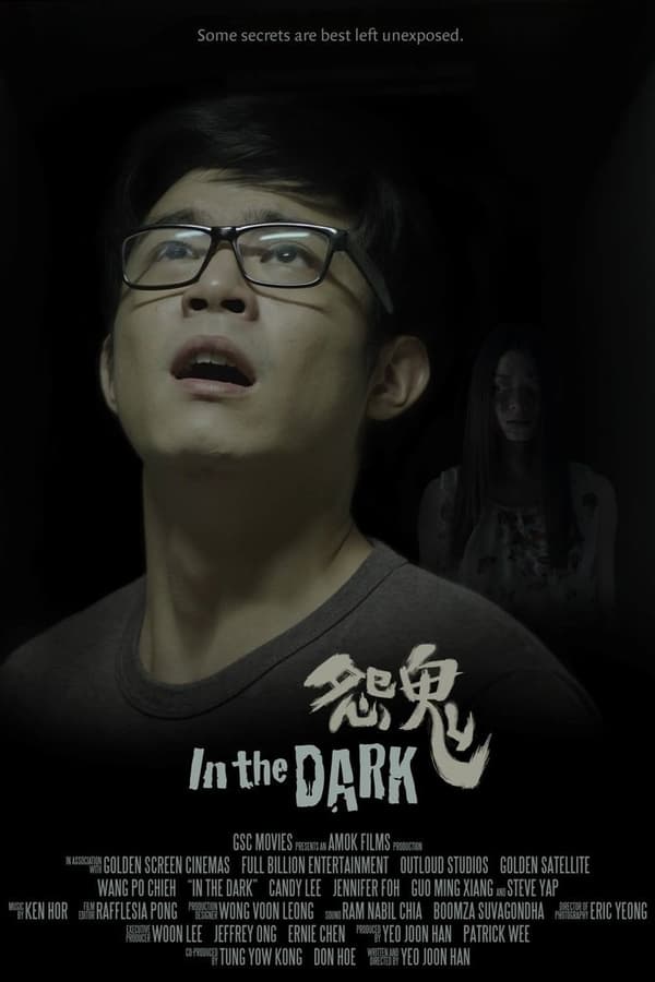 Cover of the movie In the Dark