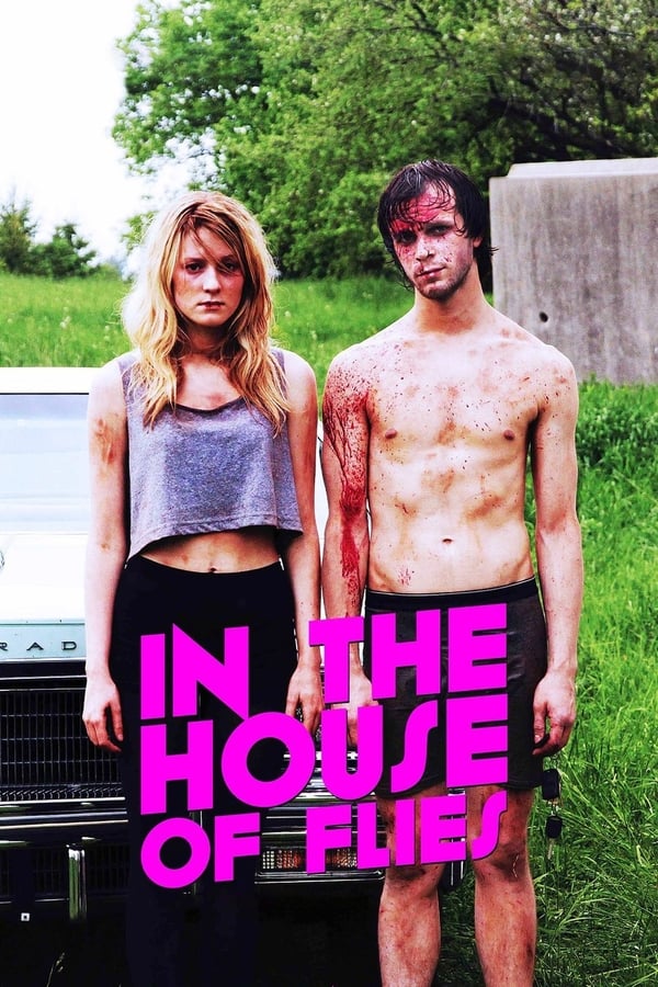 Cover of the movie In The House of Flies