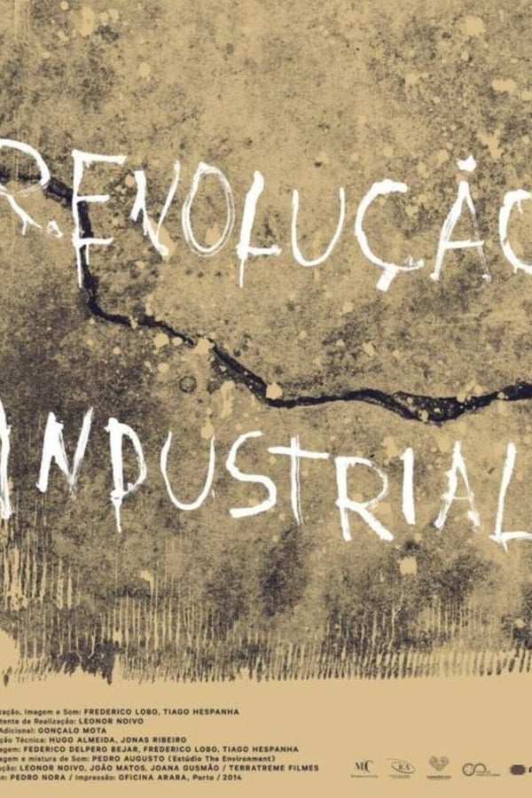 Cover of the movie Industrial Revolution