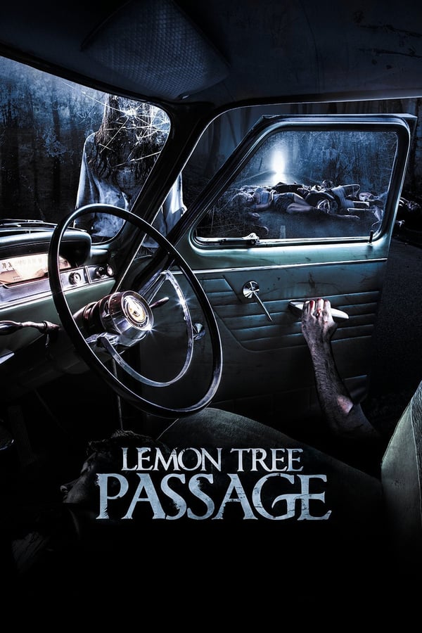 Cover of the movie Lemon Tree Passage