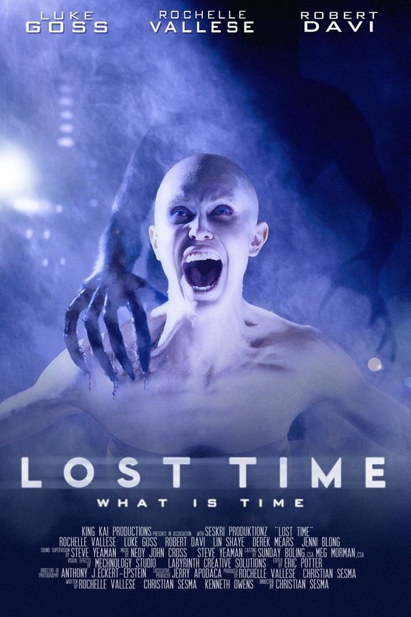 Cover of the movie Lost Time
