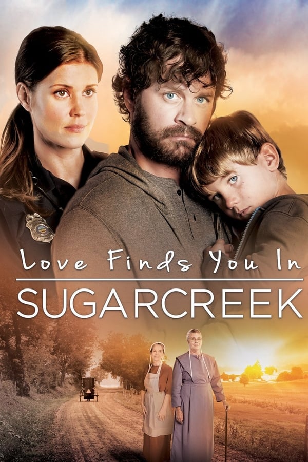 Cover of the movie Love Finds You In Sugarcreek