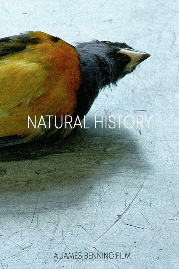 Cover of the movie Natural History