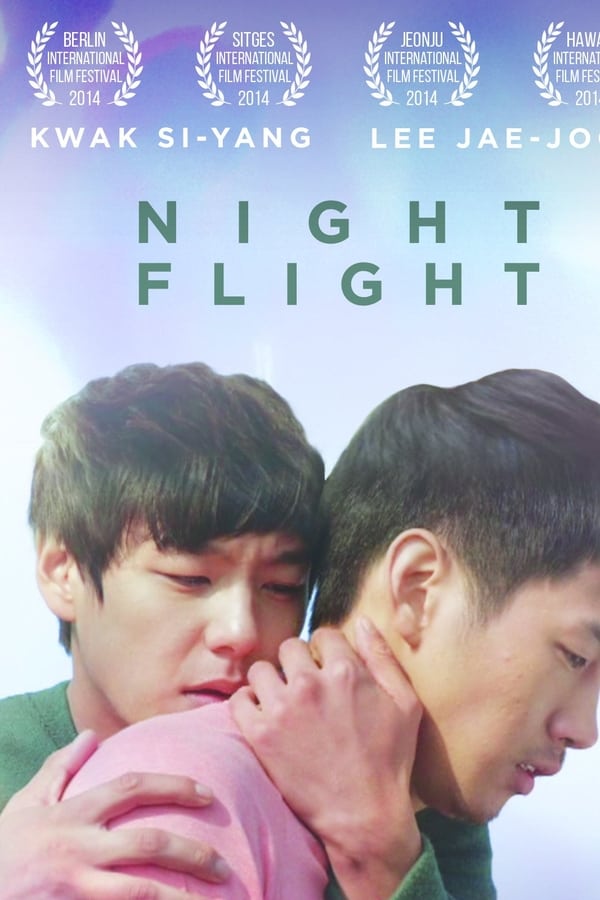 Cover of the movie Night Flight