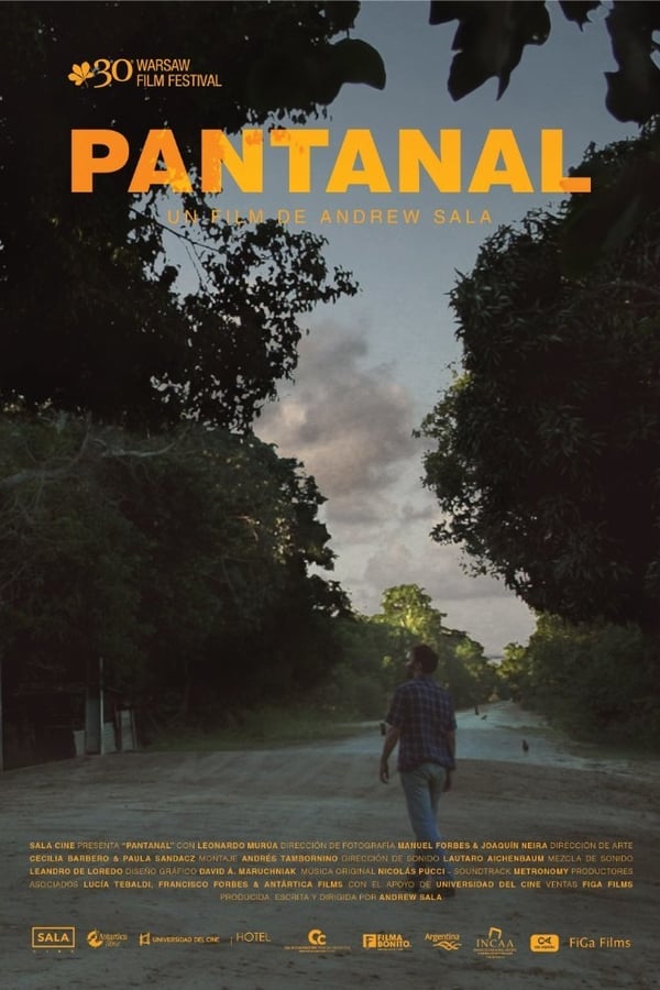 Cover of the movie Pantanal