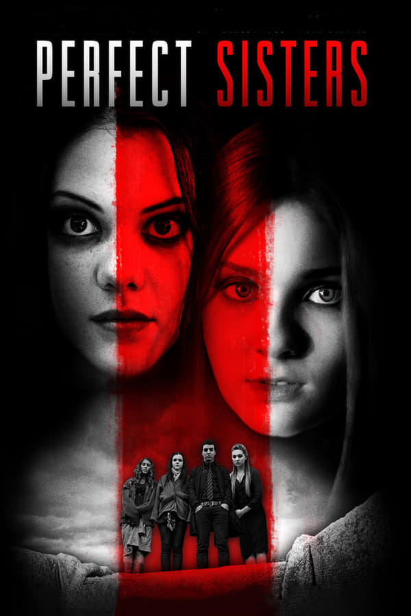 Cover of the movie Perfect Sisters