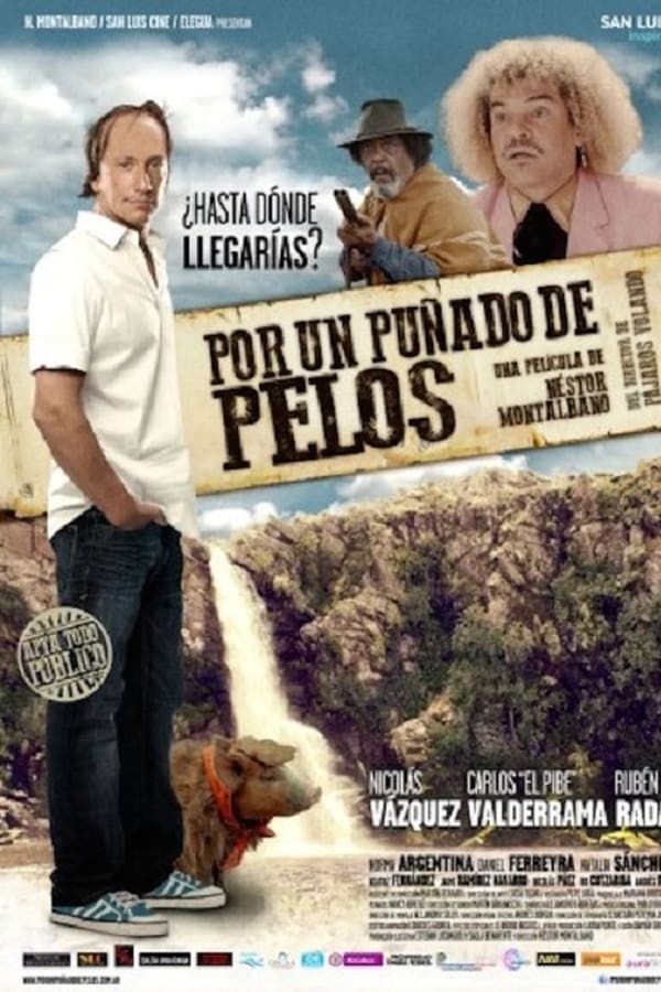 Cover of the movie Por un puñado de pelos