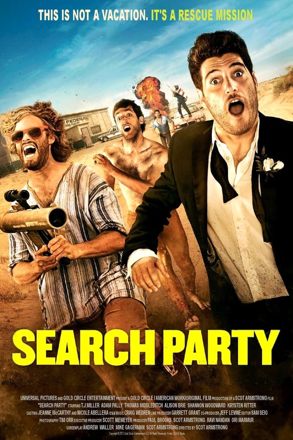Cover of the movie Search Party
