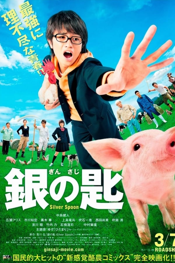 Cover of the movie Silver Spoon