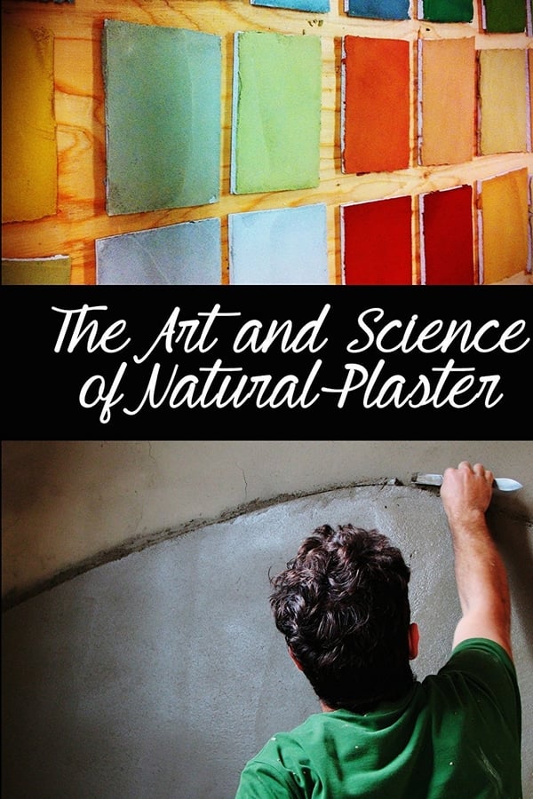 Cover of the movie The Art and Science of Natural Plaster