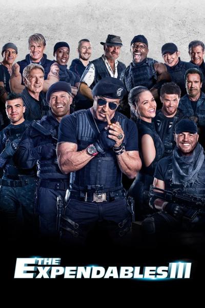 Cover of the movie The Expendables 3