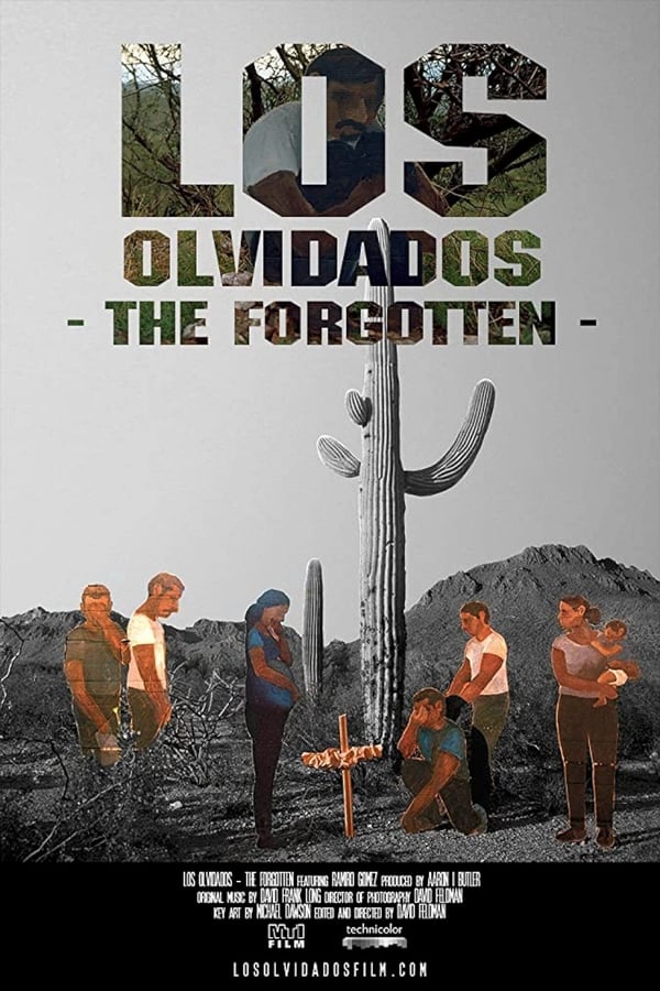 Cover of the movie The Forgotten